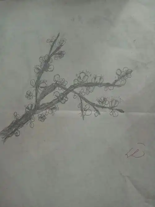 《梅竹言志》--梅花