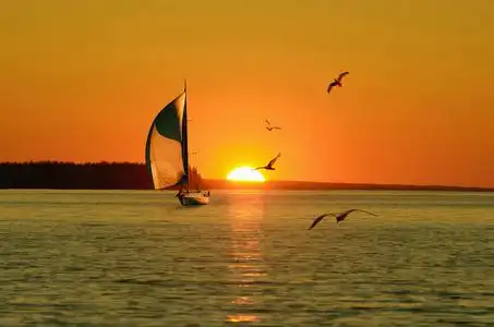 帆船游艇反对设置金色的阳光和飞海鸥照片