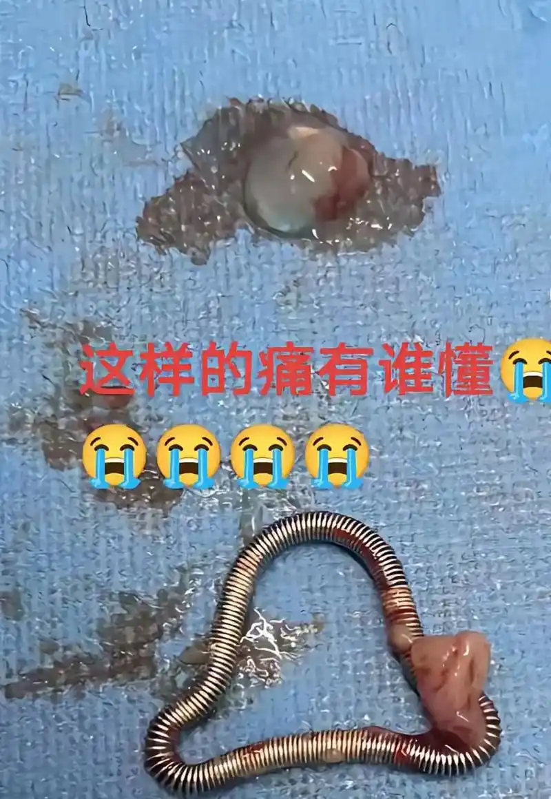 事隔两年取出来就成这样了,这个环太恐怖了,终于拿下她了,过段