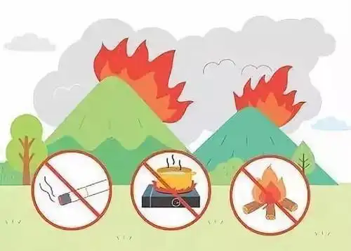 主要有两大类: 人为火和自然火 (一)人为火包括以下几种: 生产性火源