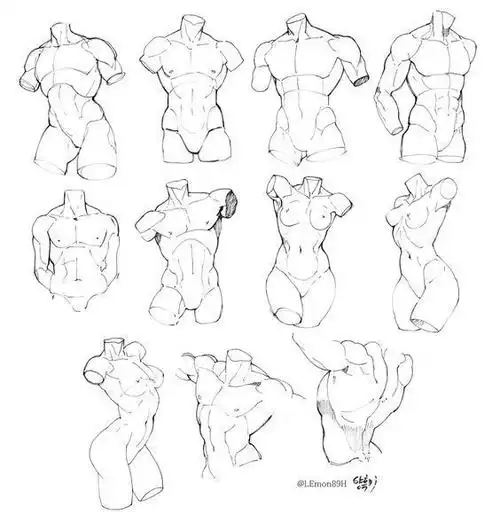 绘画##插画##绘画参考##肌肉##绘画素材##绘画参考素材##原画人学院