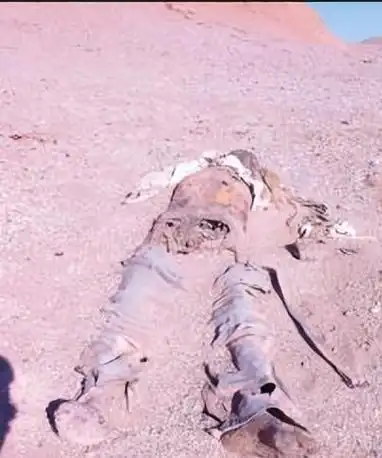 罗布泊神秘干尸身份揭秘:志愿军功臣令人震惊|战争|沙漠|李中华_网易
