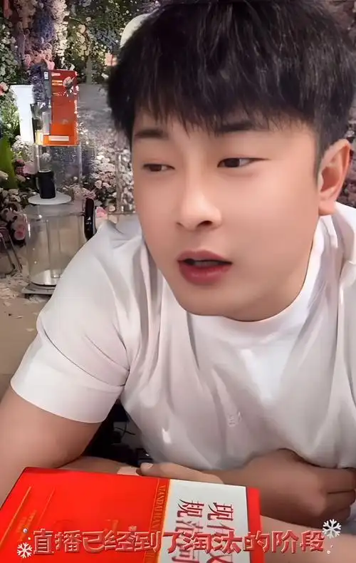 辛巴大曝一年开销工资水电房租要花13亿平台要拿20亿白玩了