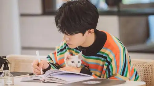 青春活力少年易烊千玺彩色条纹毛衣慵懒写真,大陆明星-回车桌面