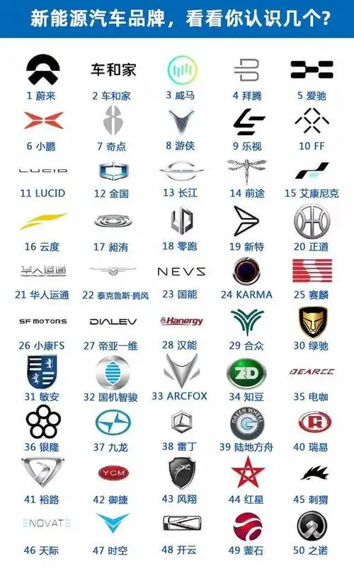 除了特斯拉,还有哪些你不知道的新能源汽车品牌