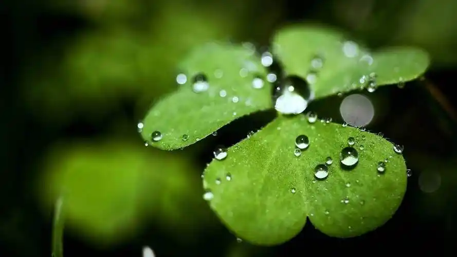 抖音3元1000粉网站刷个性标签赞平台