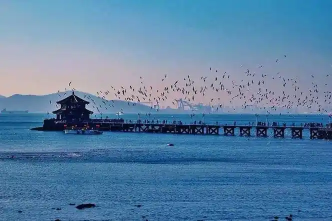 带家人跟团去青岛旅游五天需要多少钱青岛省钱攻略