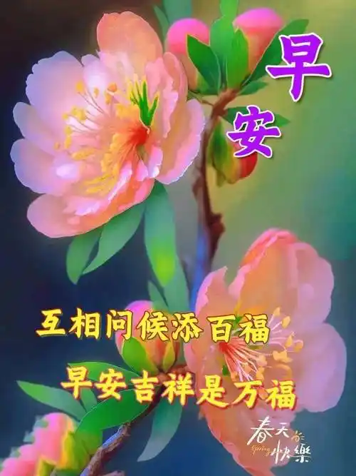 2023最新最全的早上好问候语图片,创意好看的早上好问候语图片合集