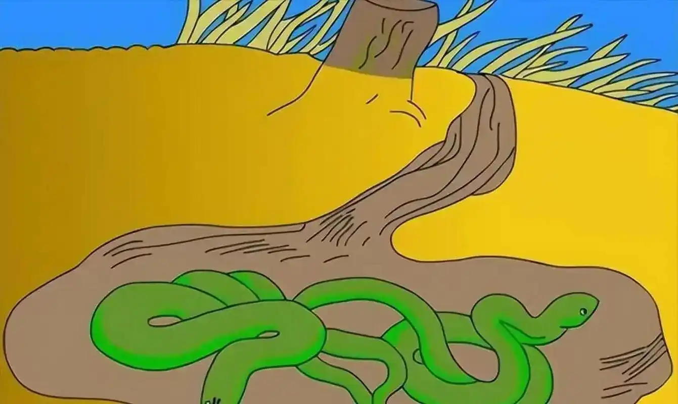 蛇冬眠时的死亡率高达30%以上,为什么还要冬眠?