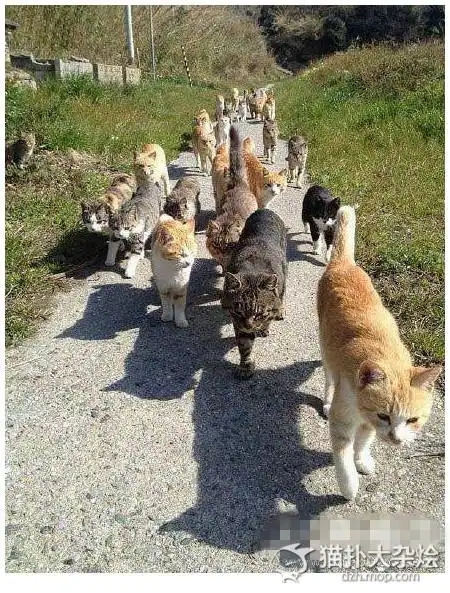 开心一刻(230)老公一进门,猴急猴急的来扒我的衣服.