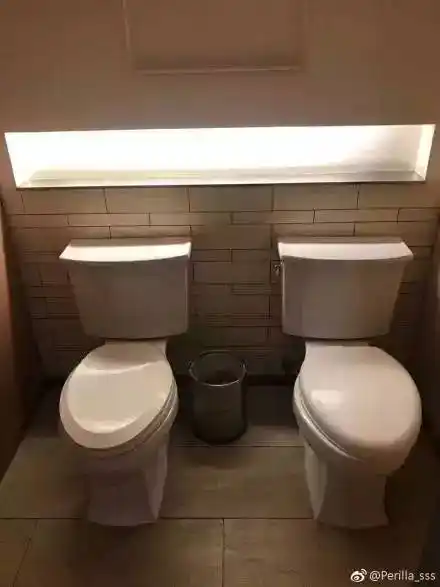 商场出现双马桶厕所 网友:这是手拉手一起上吗?