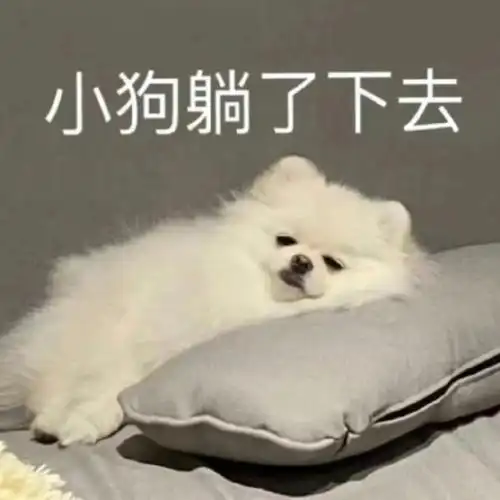 热门表情包原图精选(21个表情)-2023/06/09