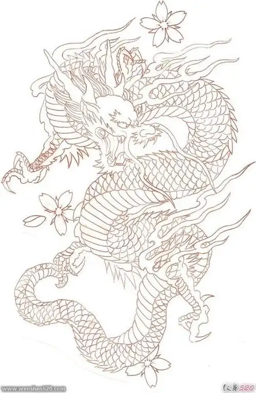 八款帅气的龙纹身图案手稿图6