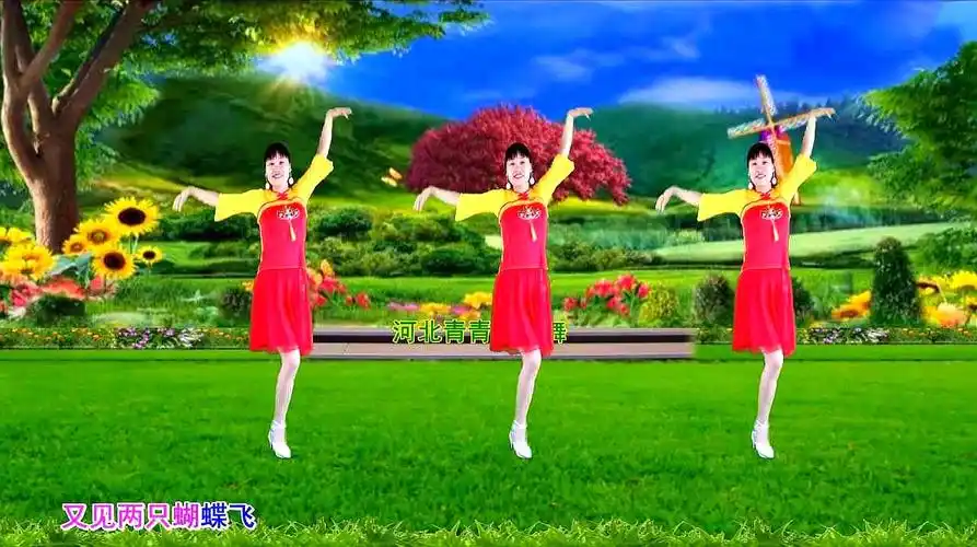 优美动感广场舞《又见两只蝴蝶飞》好听好看