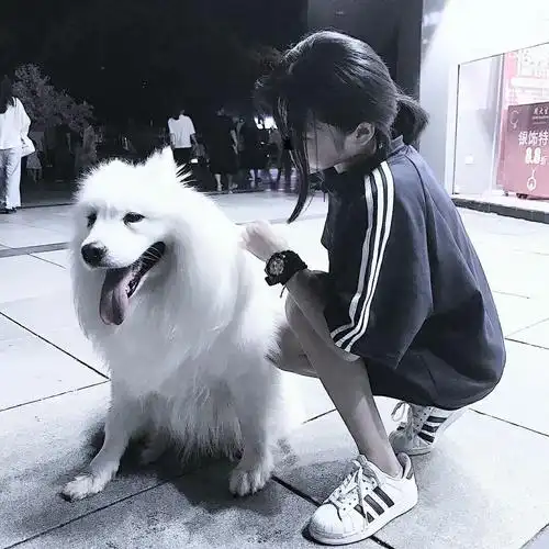 对象不是人系列情头