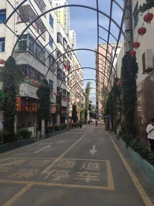 华润发喜报中标罗湖田心村旧改正式合作方这里还有一套房源