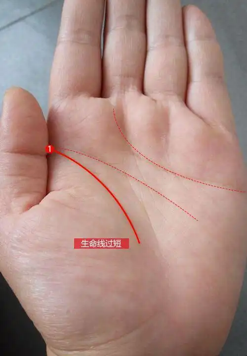 生命线很短担心自己寿命不长会不会有些多虑了