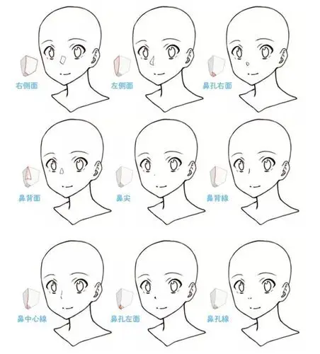 你要的动漫教程——快点来打卡学习啦!