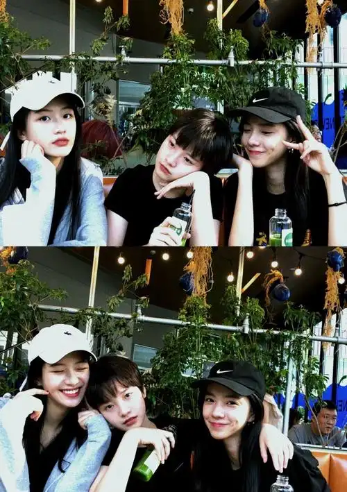 李庚希庄达菲向涵之有人都认识吗