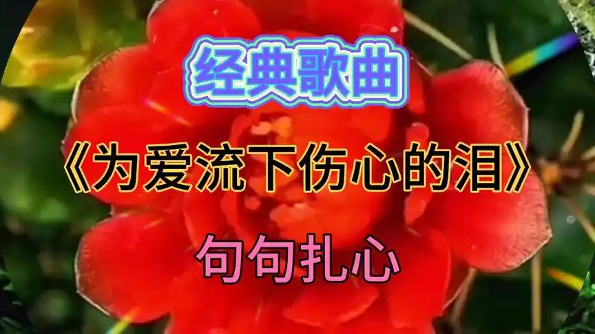 经典歌曲《为爱流下伤心的泪》,百听不厌