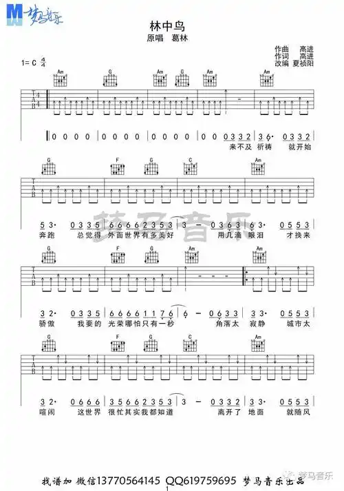 林中鸟吉他谱c调梦马音乐编配葛林
