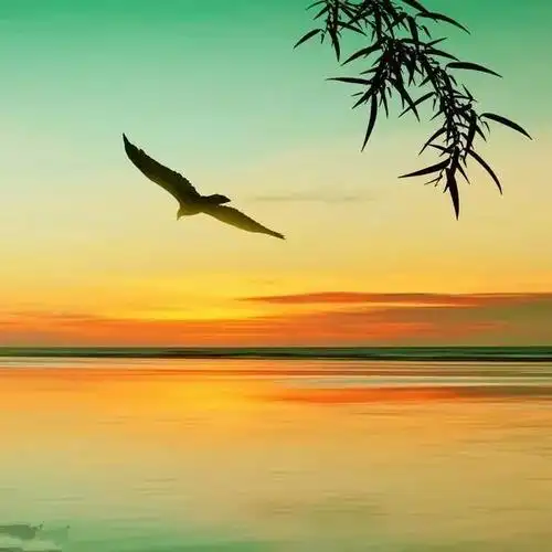 景色好美让人心旷神怡