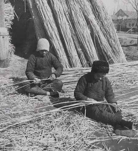 11张民国农村生活老照片图3的农民在插秧图11在编织芦苇垫