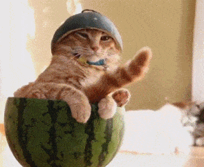 搞笑gif趣图大兄弟你能不能不要随便在公共场合玩这个