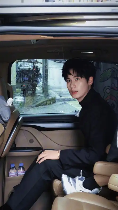 胡先煦新中式西装##胡先煦与自己过招