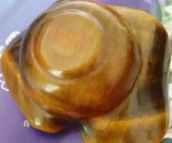 鉴别:真假犀牛角!看这篇就够了!