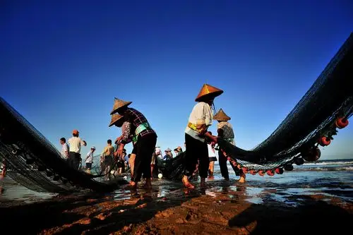 海上人家拉网捕鱼