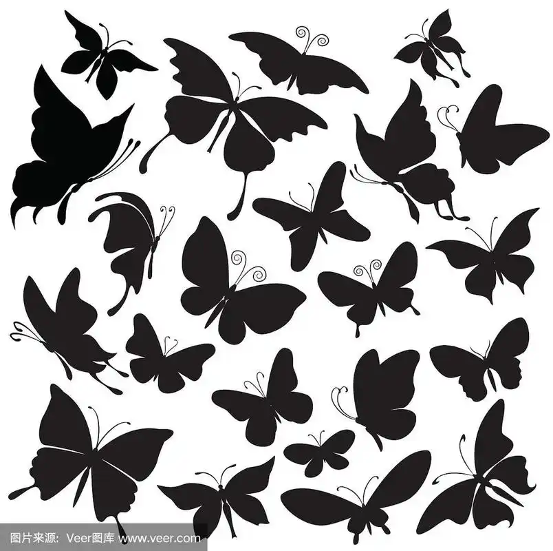 一组蝴蝶的剪影