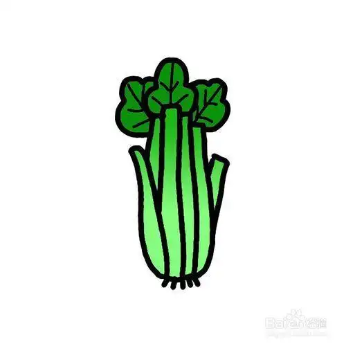 怎么画芹菜的简笔画集