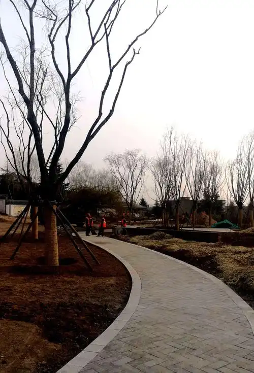 【长安城管】局领导一线督导,加快推进柳青纪念公园和"五化"道路建设