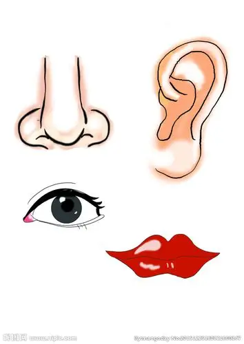 卡通五官