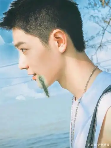 从没想过狗尾巴草也可以这样拍