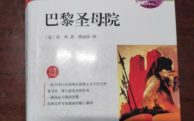 读书-巴黎圣母院