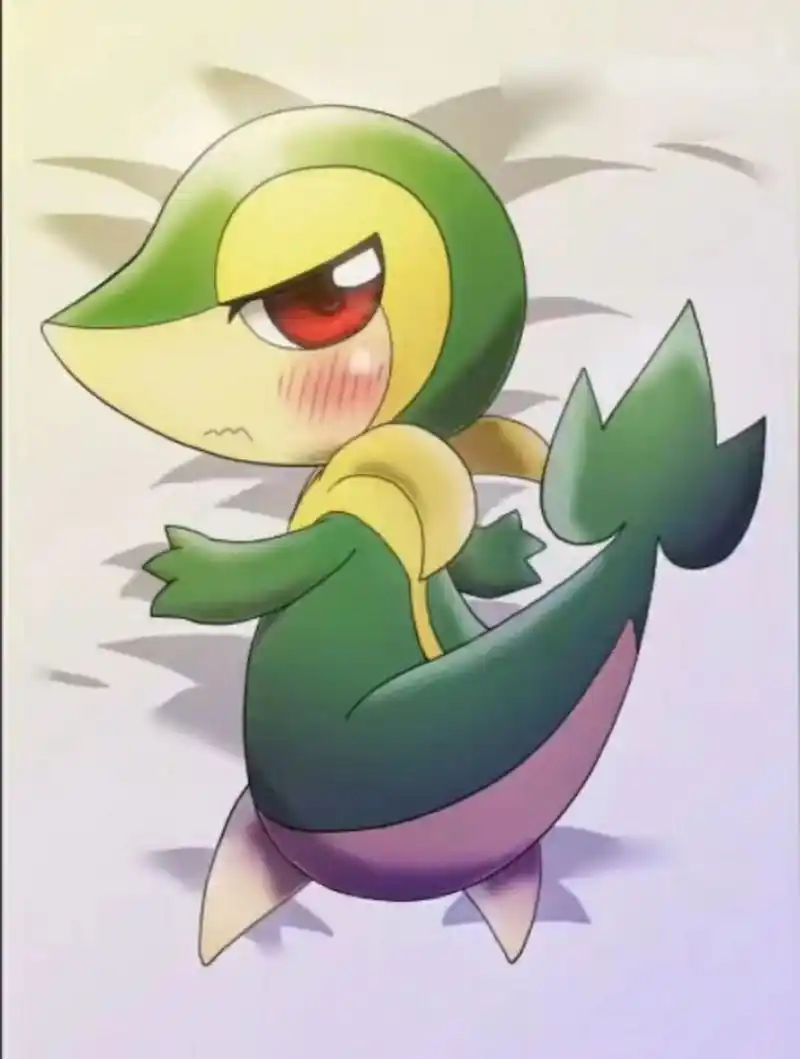 精灵宝可梦 藤藤蛇     壁纸图片