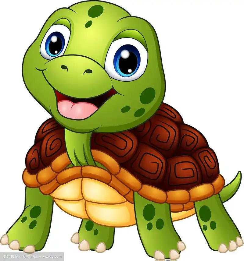 可爱的乌龟卡通微笑