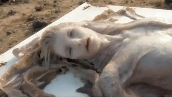 地球上真的存在美人鱼1975年国外抓到一只结局让人意外