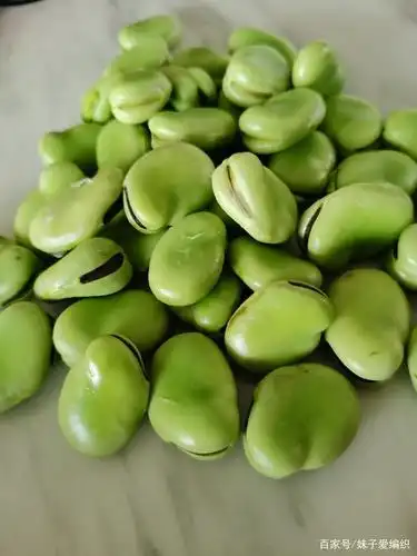 品味大自然馈赠的春日美味