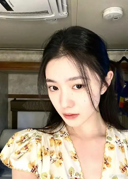 刘浩存九宫格自拍##刘浩存碎花裙少女