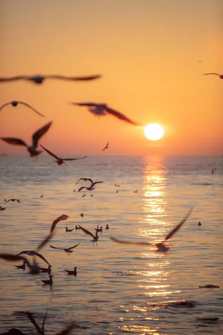 浪漫海滩落日图