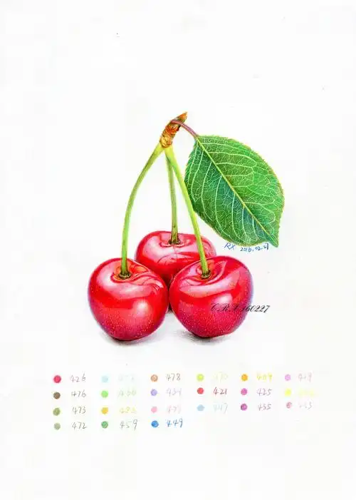 彩铅水果青岛大樱珠