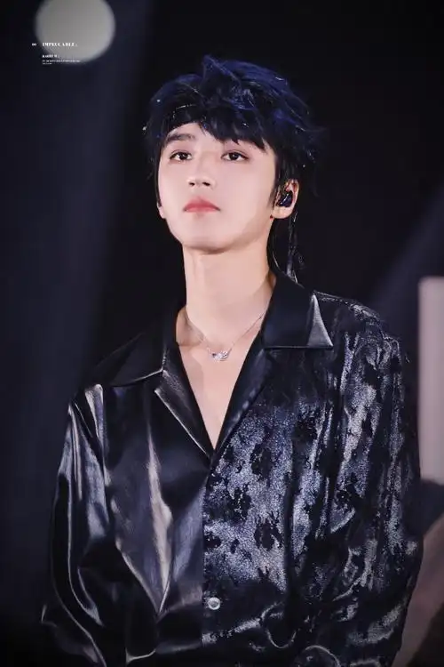 王俊凯十周年演唱会单人机位