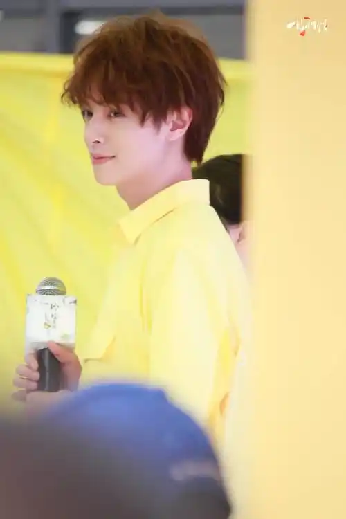 流星花园 花泽类 官鸿