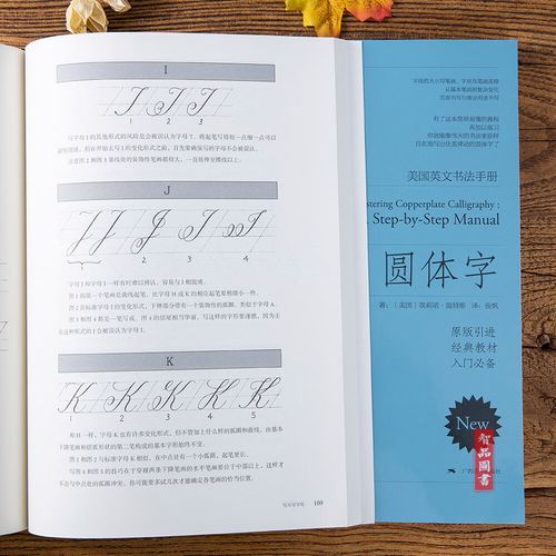 圆体字美国英文书法手册 er引进花体字圆体字英语书法笔字帖新手初学
