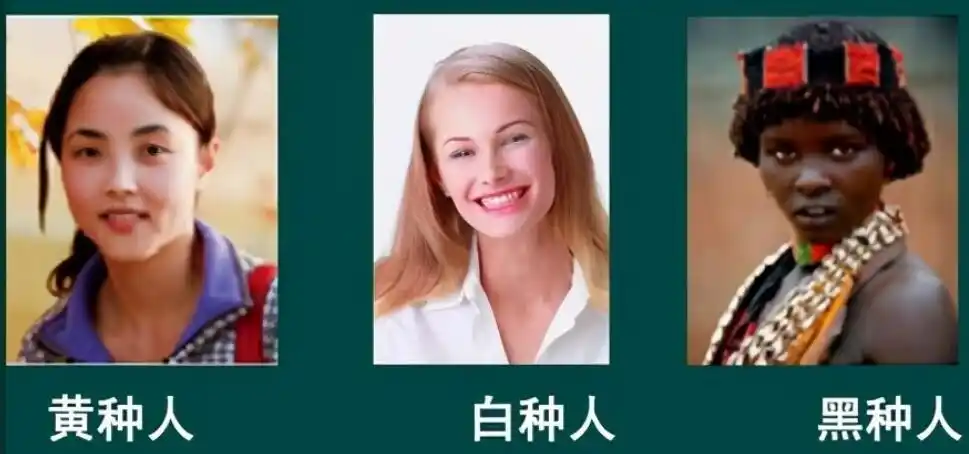 黑种人,黄种人和白种人为什么能自由交配,不存在生殖隔离?