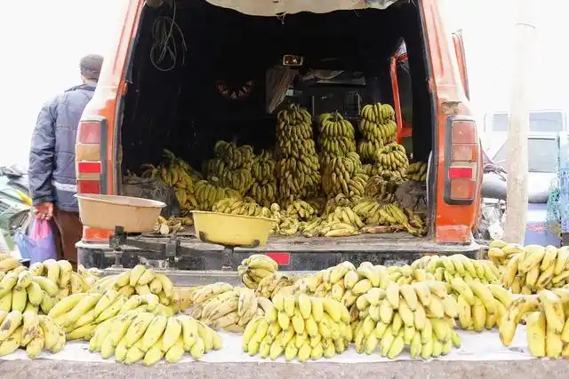 你身边有开着小货车四处叫卖水果的人吗?现状怎么样?