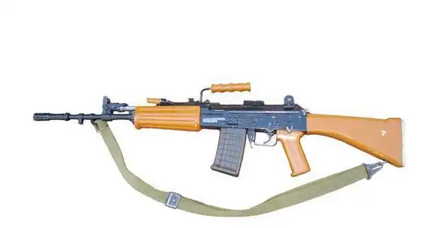 你可能没见过的枪印度insas突击步枪